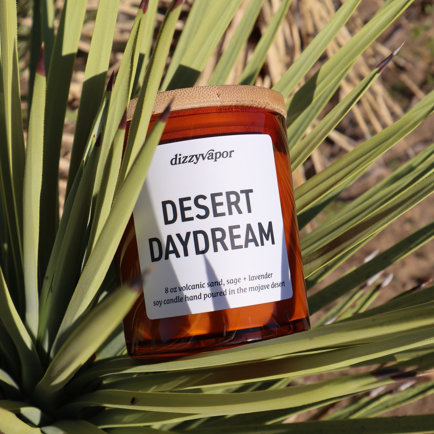 Desert Daydream, volcanic sand and sage candle resting on a Joshua Tree