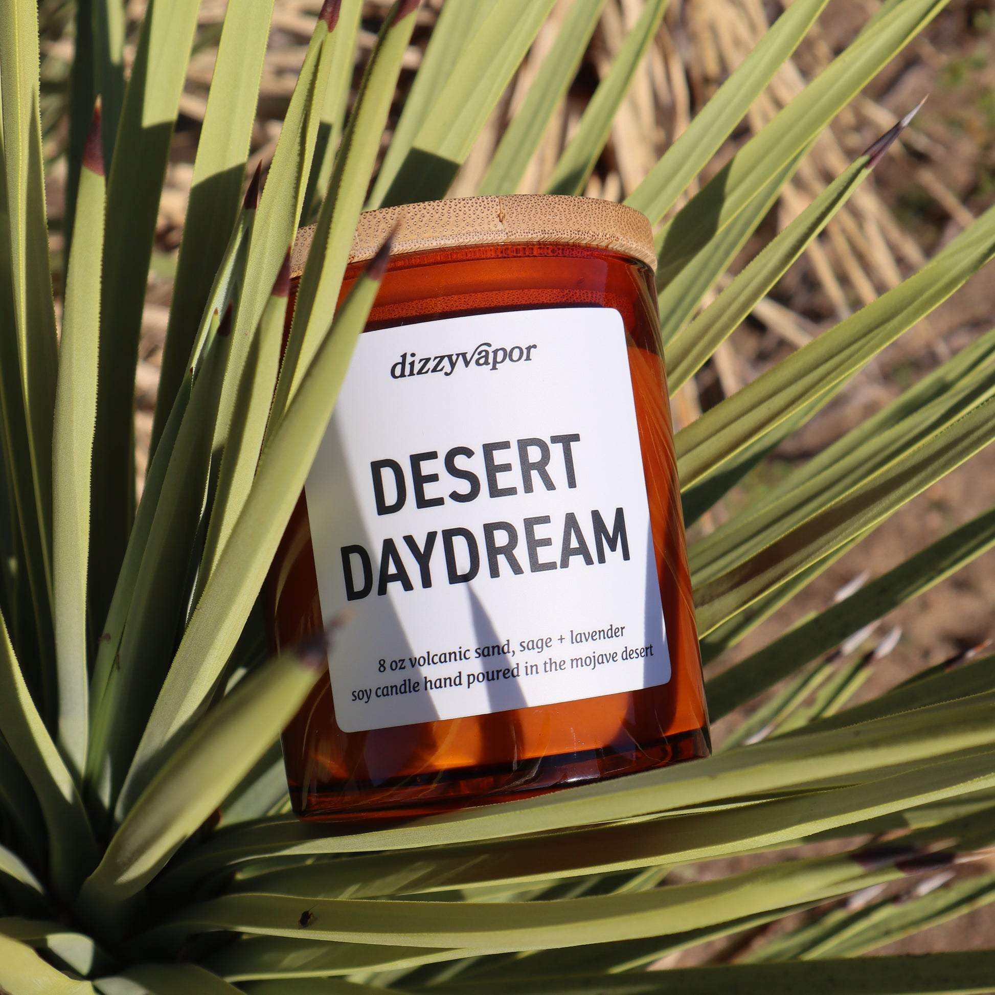 Desert Daydream, volcanic sand and sage candle resting on a Joshua Tree