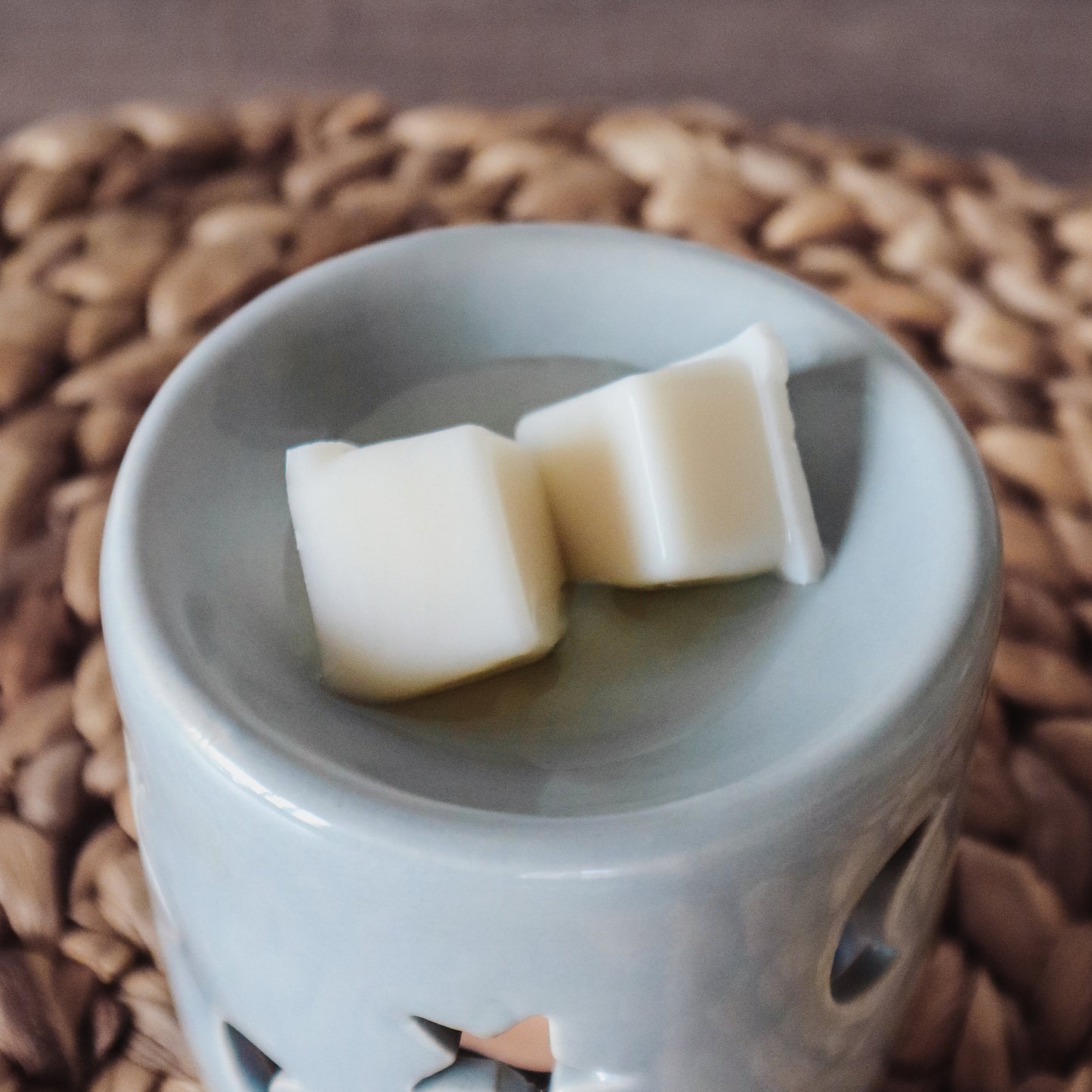 Desert Daydream | Volcanic Sand + Sage Soy Wax Melts